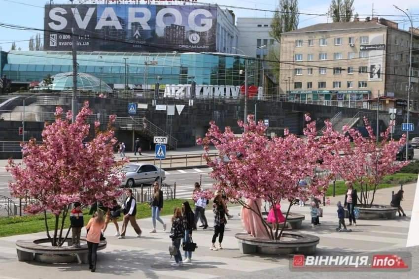 Квартира Центр Vinnycja Exteriér fotografie